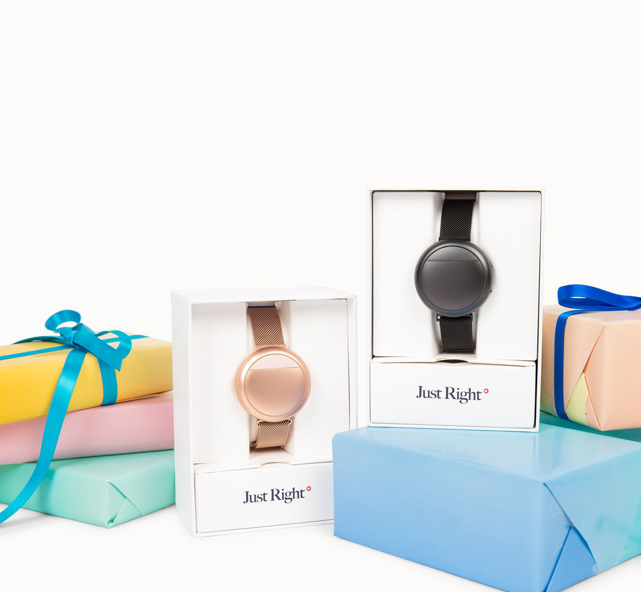 Gift Guide