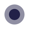 Dark navy blue circle inside gray circle.